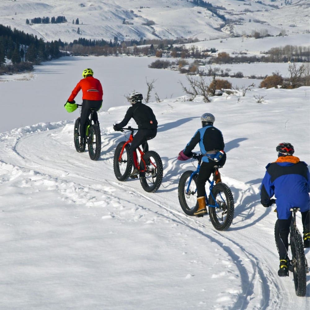 Snowbiking 	